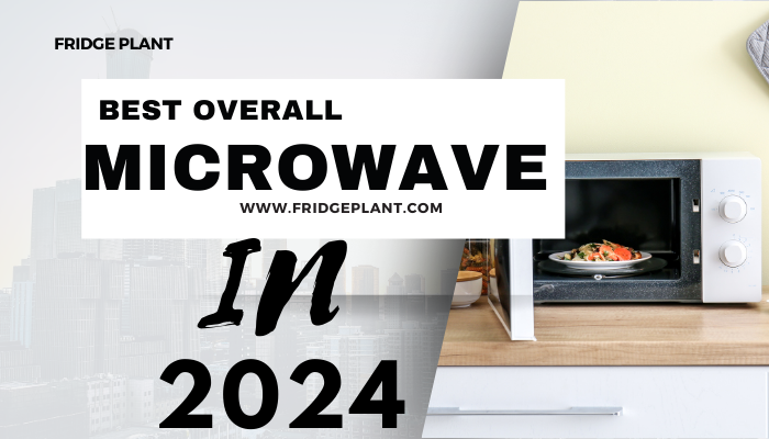 Best Buy Microwaves In 2024