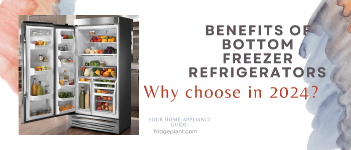 Best White Refrigerator Bottom Freezer